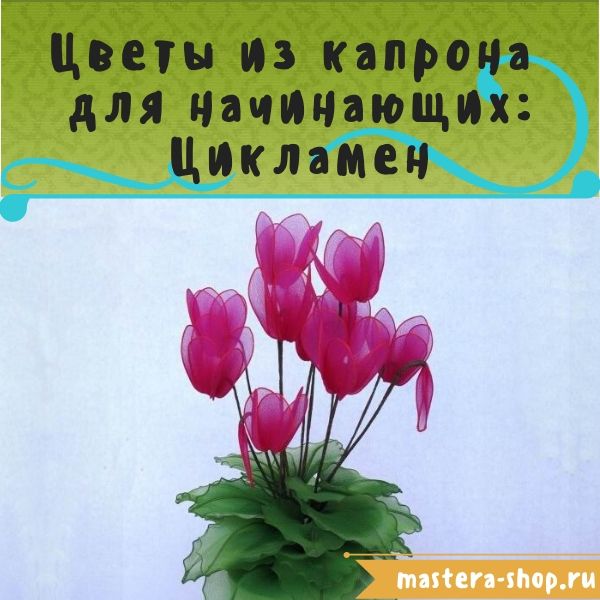 Цветы из капрона для начинающих: Цикламен