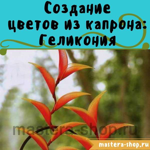 Мастер-класс по созданию цветов из капрона: Геликония