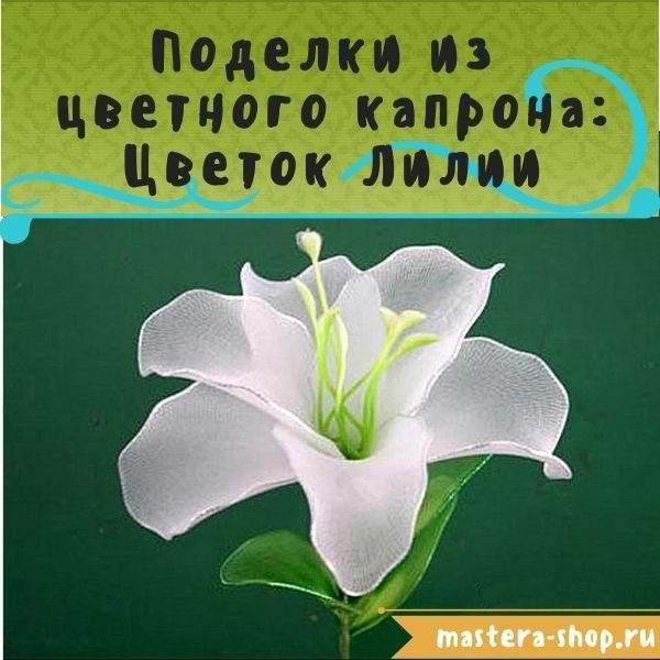 Мастер-класс по созданию цветов из цветного капрона: Лилия