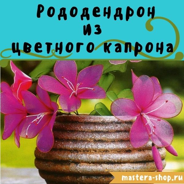 Мастер-класс по созданию цветов из цветного капрона: Рододендрон