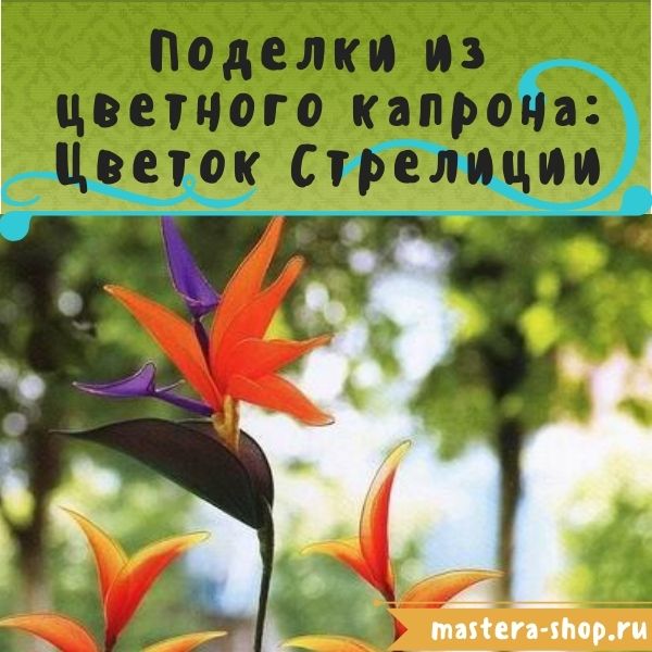 Мастер-класс по созданию цветов из цветного капрона: Стрелиция